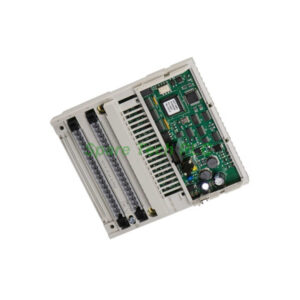 Schneider 170AAO92100 Analog Output Module
