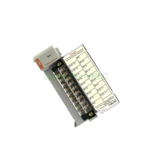Allen-Bradley 1769-IT6 Thermocouple Input Module
